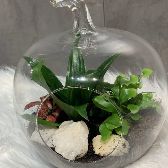 Photos page d’accueil Obernai 11