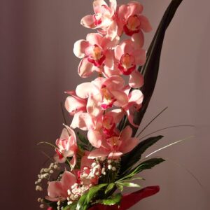 Fleurs intérieures