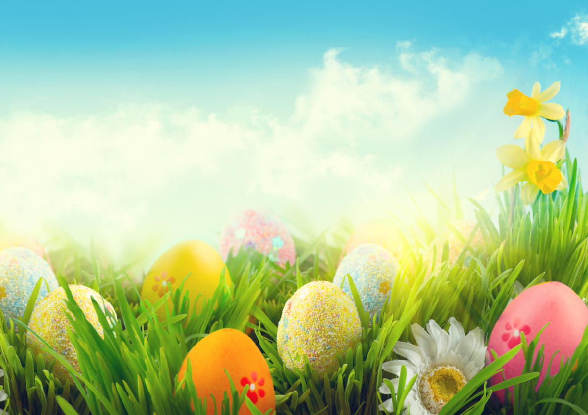 P&acirc;ques s&rsquo;invite &agrave; votre table ! Lingolsheim